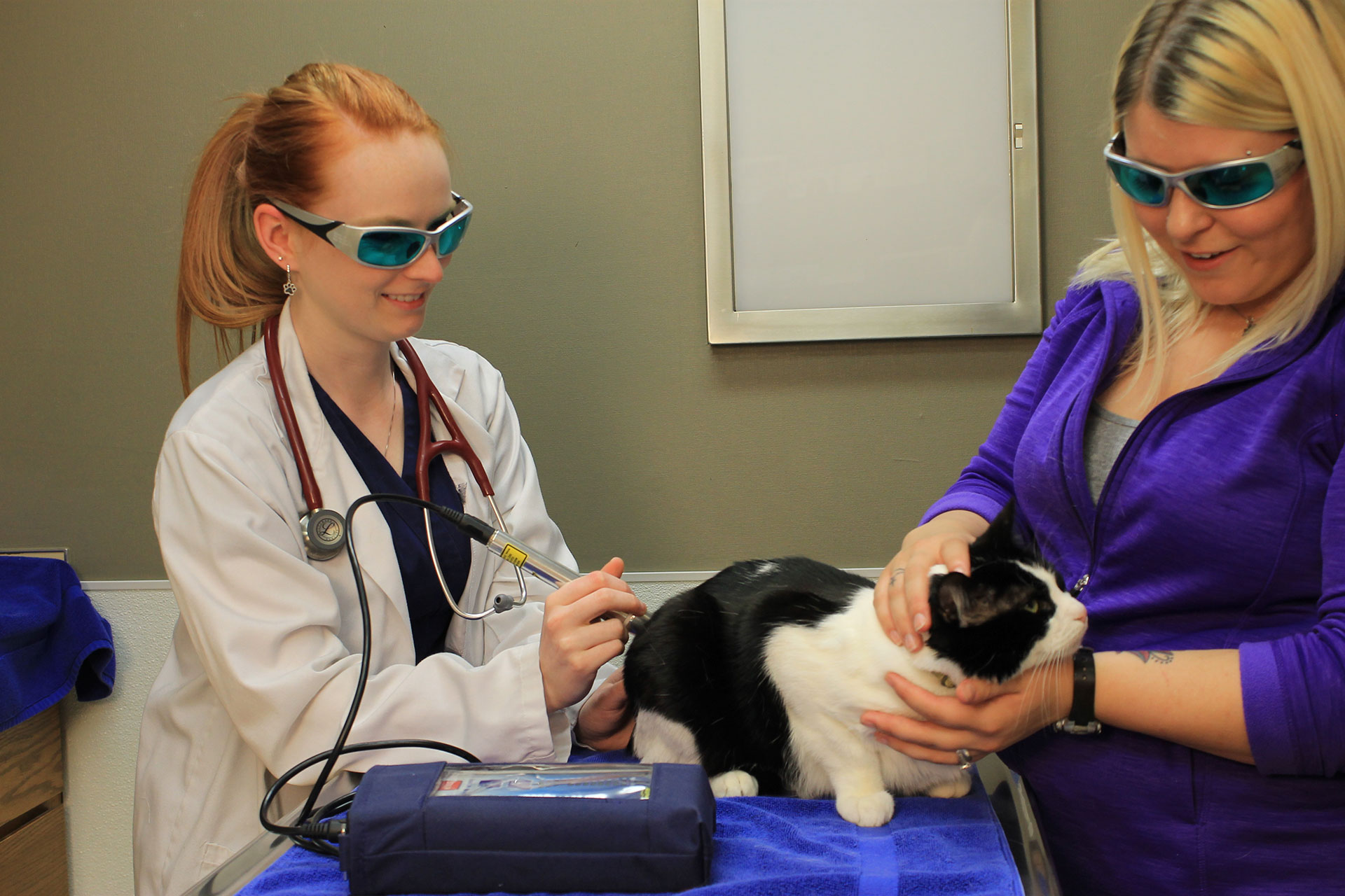 Laser Therapy Lake Mary, FL 